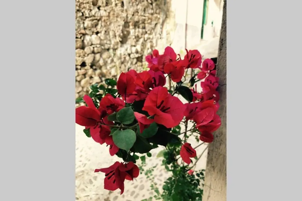Lovely Apartment Cefalu